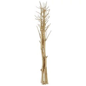 EUROPALMS Fennel bunch, dried, gold, 160cm