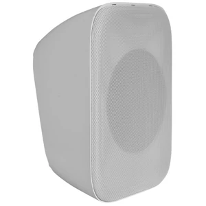 OMNITRONIC PPS-6T PA Wall Speaker