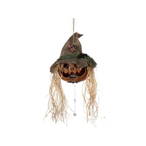 EUROPALMS Halloween Cursed Pumpkin Head, 70cm