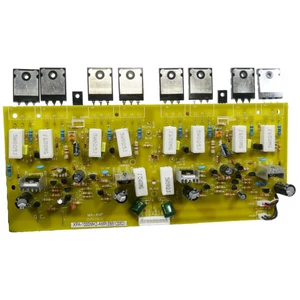  Pcb (Amplifier) XPA-1000 MK2 without heat sink