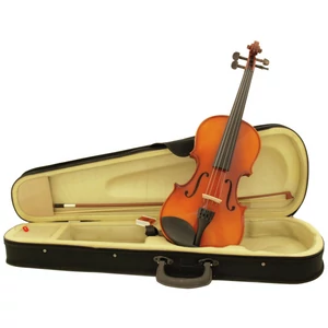 DIMAVERY Violin 4/4 with bow in case