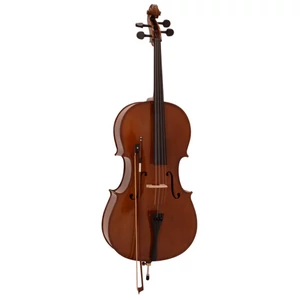 DIMAVERY Cello 4/4 with Soft Bag