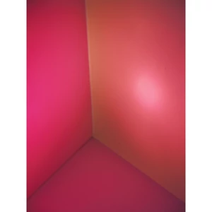 EUROLITE Dichro, red, frosted, 165x132mm EUROLITE Dichro, red, frosted, 165x132mm
