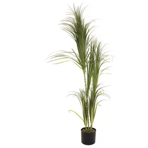 EUROPALMS Dracena bush, artificial, 215cm