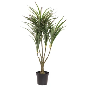 EUROPALMS Dracena, green-red, artificial,  90cm