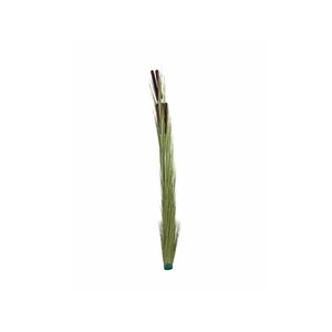 EUROPALMS Reed grass with cattails,light green, artificial, 152cm EUROPALMS Reed grass with cattails,light green, artificial, 152cm