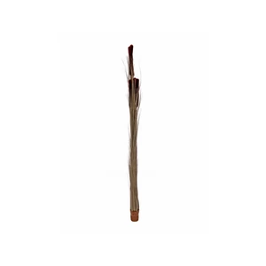 EUROPALMS Reed grass cattails, dark-brown, artificial,  152cm EUROPALMS Reed grass cattails, dark-brown, artificial,  152cm