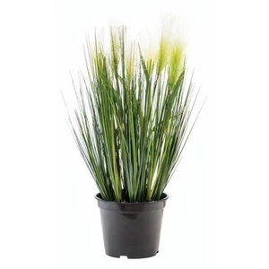 EUROPALMS Feather grass, artificial, white, 60cm