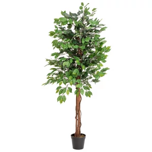 EUROPALMS Ficus Tree Multi Trunk, artificial plant, 150cm EUROPALMS Ficus Tree Multi Trunk, artificial plant, 150cm