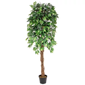 EUROPALMS Ficus Tree Multi-Trunk, artificial plant, 180cm