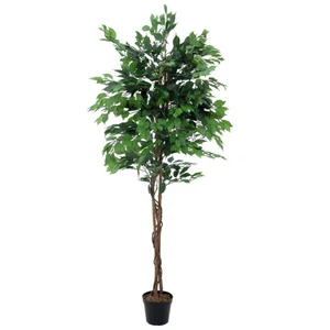 EUROPALMS Ficus Tree Multi-Trunk, artificial plant, 210cm