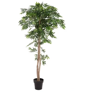 EUROPALMS Ficus longifolia, artificial plant, 165cm