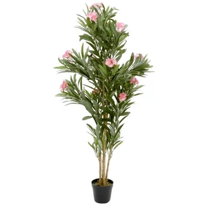 EUROPALMS Oleander tree, artificial plant, pink, 150 cm