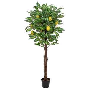 EUROPALMS Lemon tree, artificial plant, 150cm