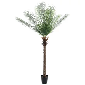 EUROPALMS Phoenix  palm deluxe, artificial plant, 220cm EUROPALMS Phoenix  palm deluxe, artificial plant, 220cm