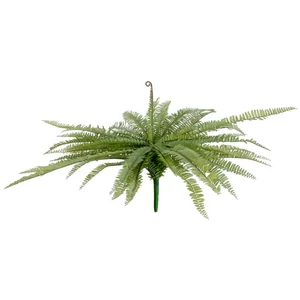 EUROPALMS Boston fern, artificial plant, green, 70cm EUROPALMS Boston fern, artificial plant, green, 70cm