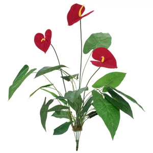 EUROPALMS Anthurium, artificial, 70cm