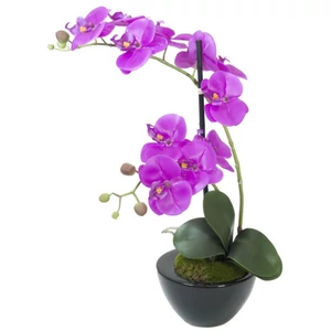 EUROPALMS Orchid arrangement 4, artificial