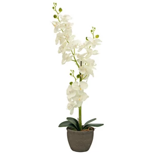 EUROPALMS Orchid, artificial plant, cream, 80cm