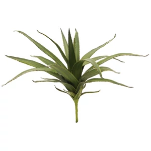 EUROPALMS Aloe (EVA), artificial, green, 50cm EUROPALMS Aloe (EVA), artificial, green, 50cm