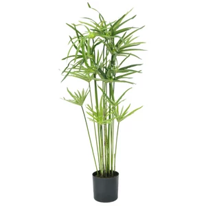 EUROPALMS Cyprus grass, artificial, 76cm