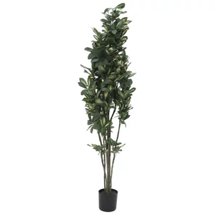 EUROPALMS Schefflera, artificial,120cm