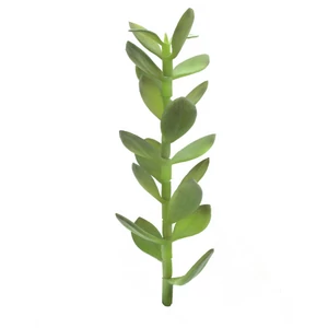 EUROPALMS Money tree shoot, artificial plant, 30cm EUROPALMS Money tree shoot, artificial plant, 30cm