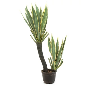 EUROPALMS Orchid-Cactus, artificial plant, 160cm