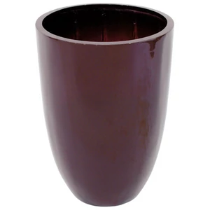 EUROPALMS LEICHTSIN CUP-69, shiny-brown