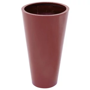 EUROPALMS LEICHTSIN ELEGANCE-69, shiny-red