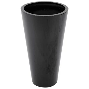 EUROPALMS LEICHTSIN ELEGANCE-69, shiny-black