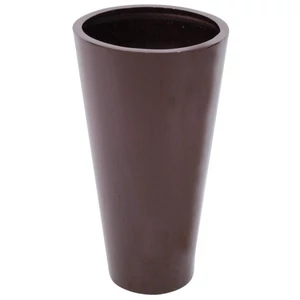 EUROPALMS LEICHTSIN ELEGANCE-69, shiny-brown