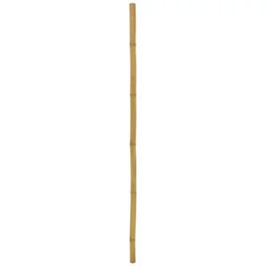 EUROPALMS Bamboo tube, Ø=5cm, 200cm