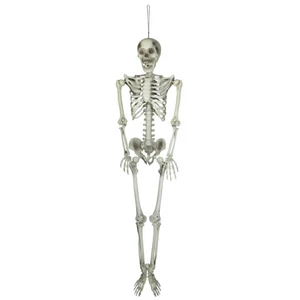 EUROPALMS Halloween Skeleton, 150 cm
