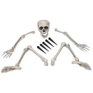 EUROPALMS Halloween Skeleton, multipart