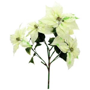 EUROPALMS Poinsettia bush, cream, 60cm