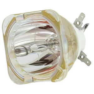 USHIO NSL 420 Reflector Discharge Lamp