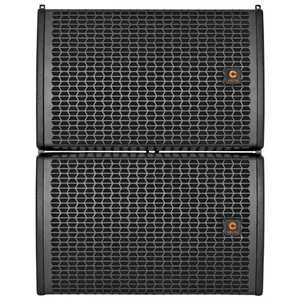 CELTO ACS10 (M+P) 2-way Coaxial Active Line Array Module Set