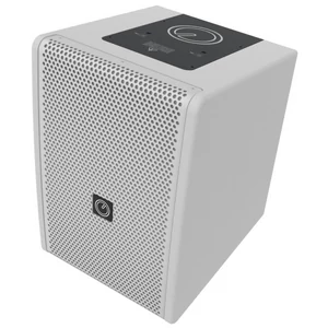 INTUSONIC 6FP100T 6.5" 2-way Fullrange Speaker white