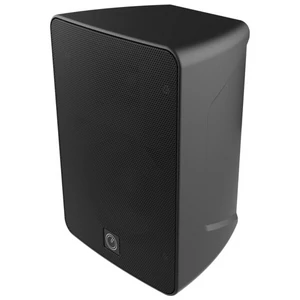 INTUSONIC 4FP40R 4" 2-way Outdoor Speaker black