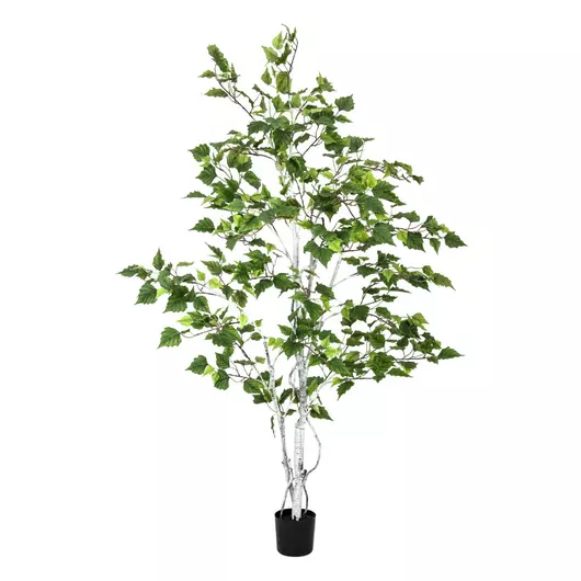 EUROPALMS Birch Tree, artificial plant, 150cm