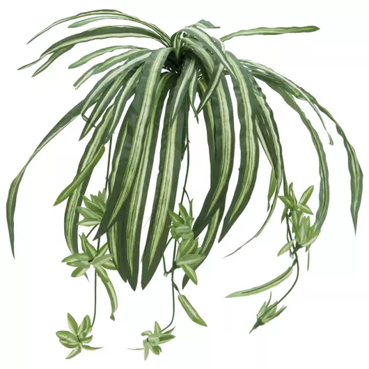 EUROPALMS Spider plant, artificial, 60cm