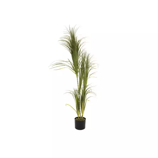 EUROPALMS Dracena bush, artificial, 215cm