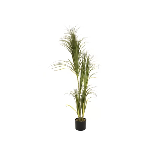 EUROPALMS Dracena bush, artificial, 215cm