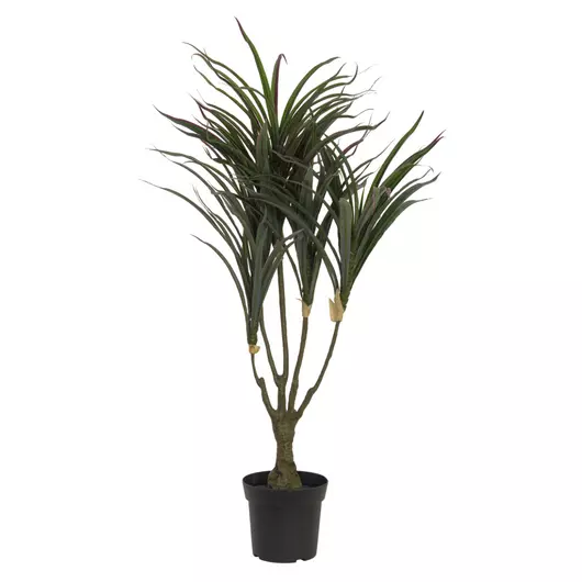 EUROPALMS Dracena, green-red, artificial,  90cm