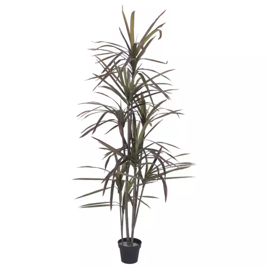 EUROPALMS Dracaena, green-red, artificial,  180cm