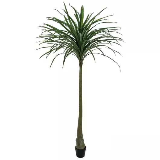 EUROPALMS Dracena, green, artificial,  220cm