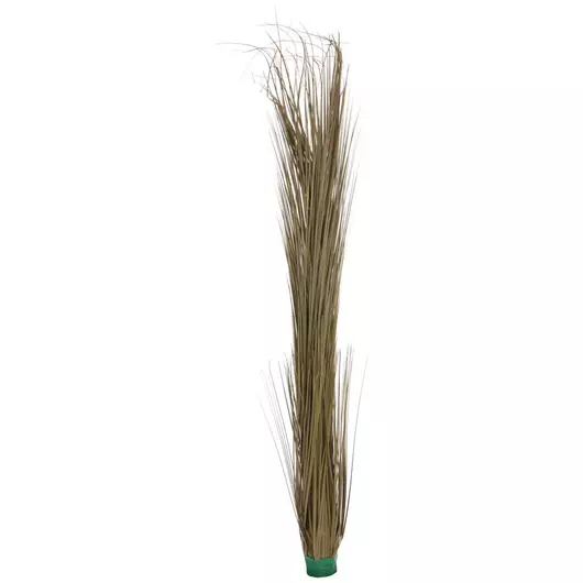 EUROPALMS Reed grass, khaki, artificial,  127cm