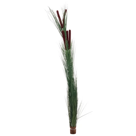 EUROPALMS Reed grass with cattails,dark-green, artificial, 152cm