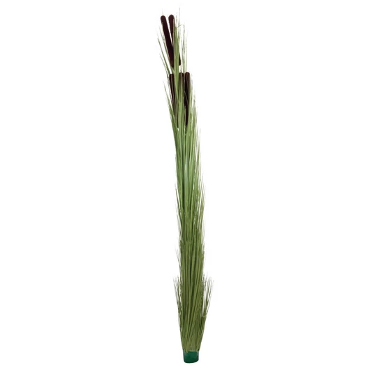 EUROPALMS Reed grass with cattails,light green, artificial, 152cm